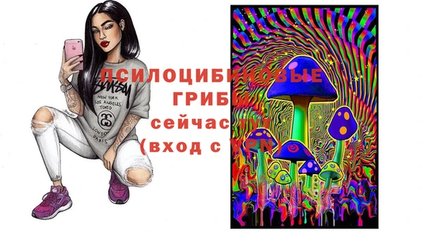 a pvp Абдулино